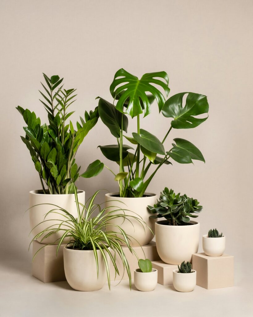 Plantas em vasos na decoração com estilo design biofílico trazendo a natureza para ambientes internos