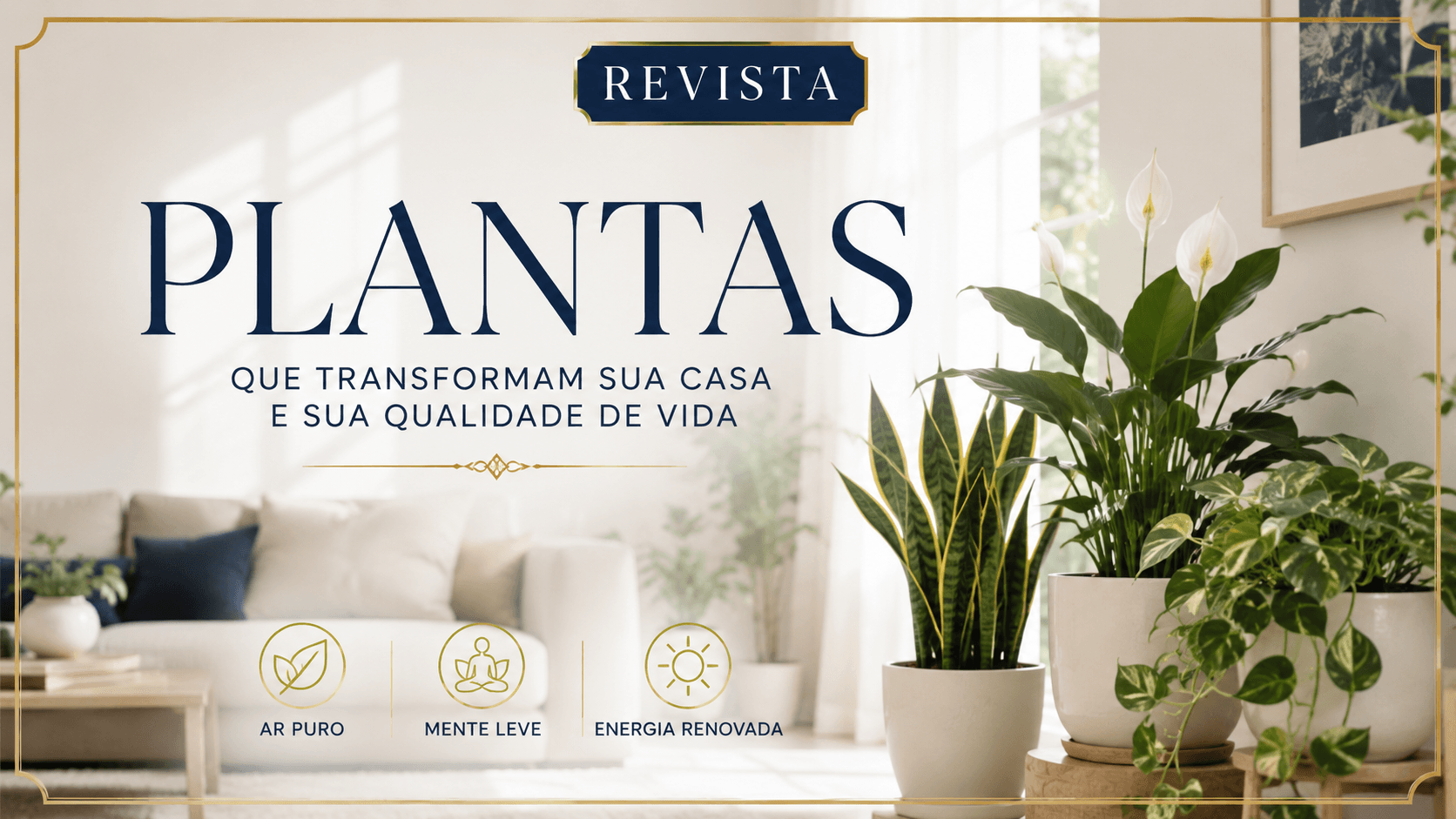Plantas que Purificam o Ar: as Melhores para Cada Cômodo da Casa