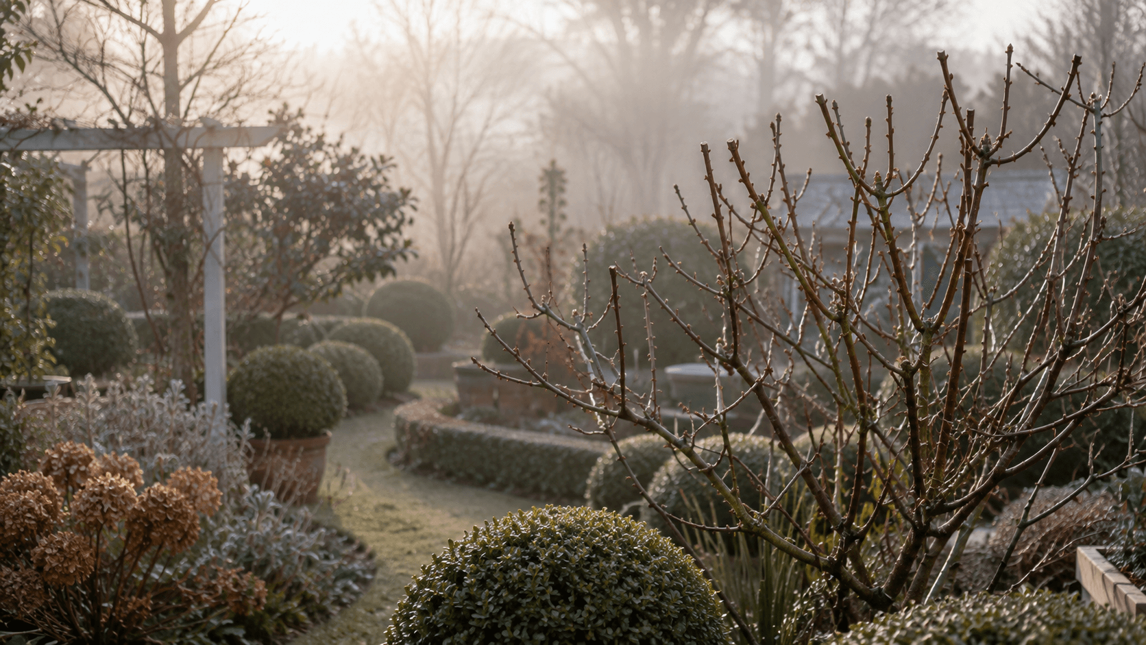 Jardim de inverno em repouso, arbustos em dormência