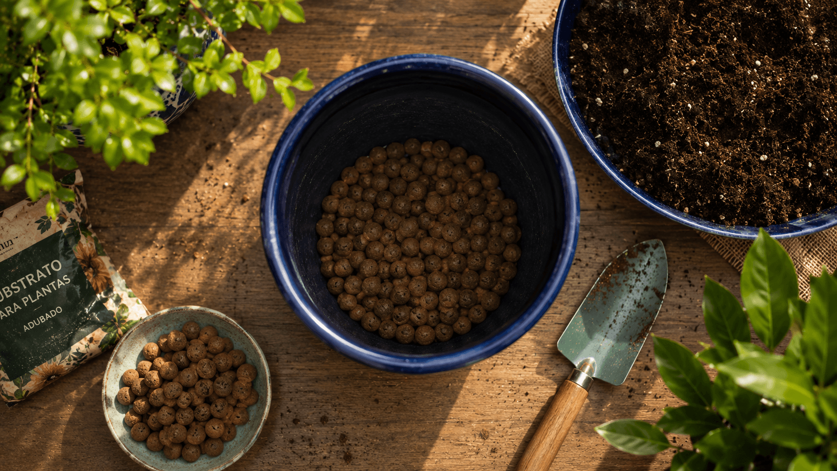 Materiais para plantio de frutíferas em vaso: substrato, argila expandida e ferramentas
