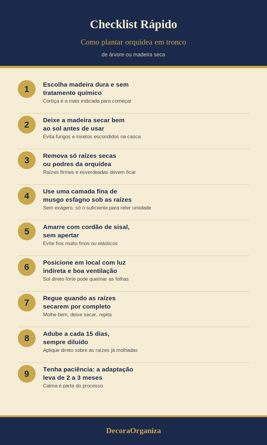 Como Plantar Orquídea em Tronco de Árvore ou Madeira Seca: Guia Completo e Acolhedor Infográfico resumindo o passo a passo de como plantar orquídea em tronco de árvore